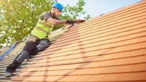 Best Roof Maintenance and Cleaning  in Rio Grande, OH