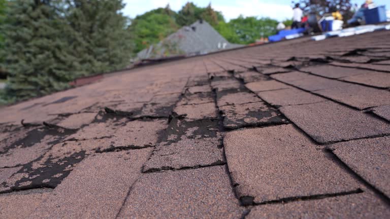  Rio Grande, OH Roofing Pros