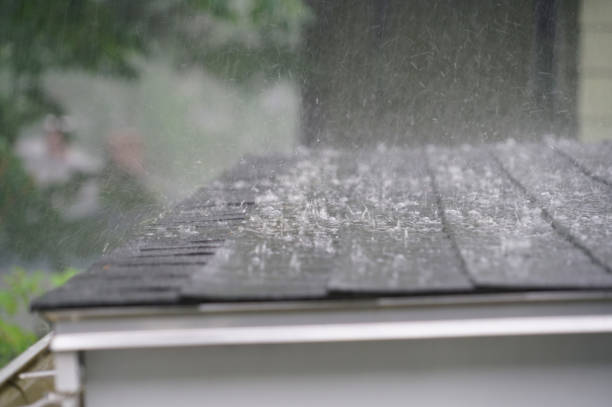 Best Roof Insulation Installation  in Rio Grande, OH